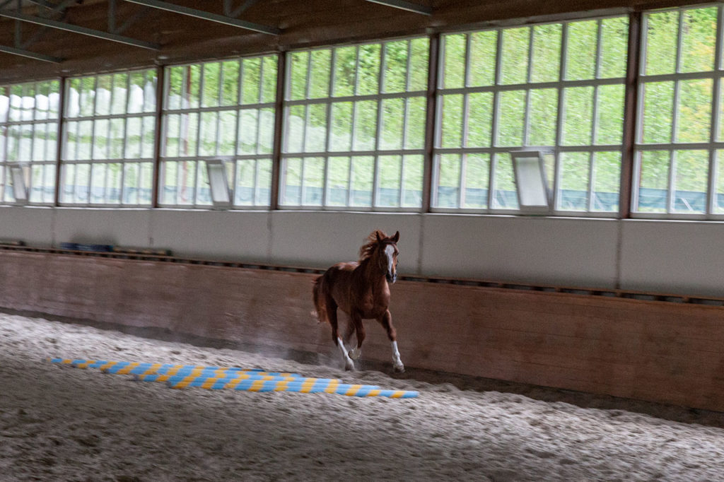 Зустріч з Гефестом